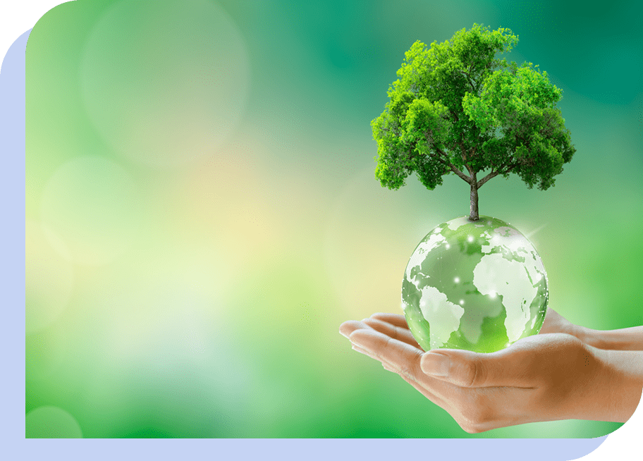 選ばれる理由01